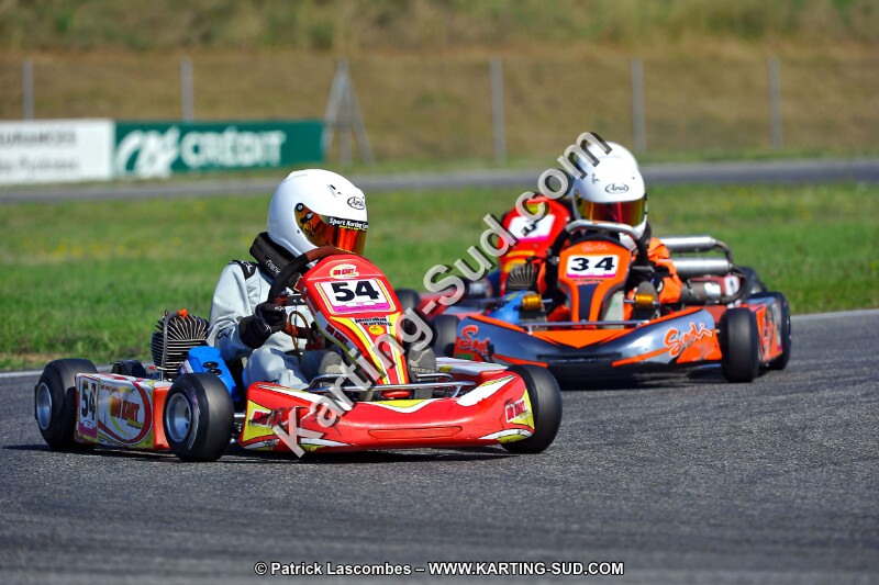 DSC_ (1241).jpg